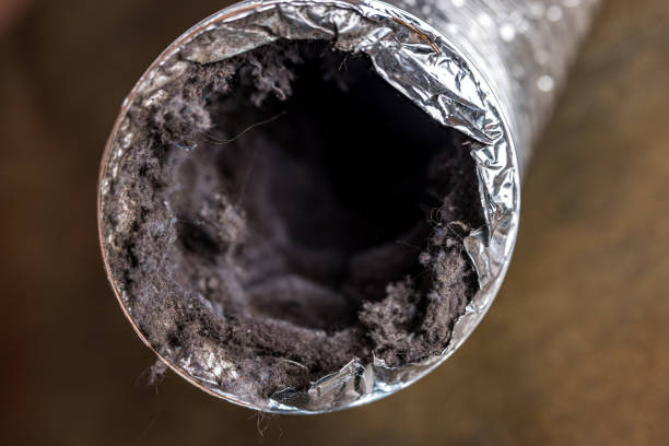 Best Affordable Duct Cleaning Services  in Broomall, PA